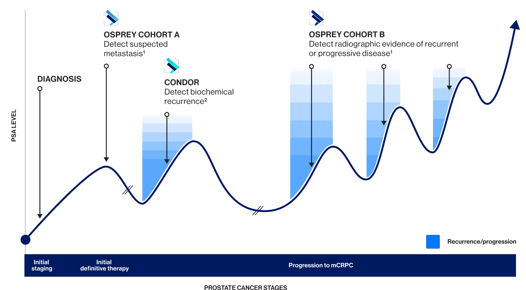 Chart showing TruVu&trade; (piflufolastat F 18) study design coverage from initial staging through recurrence across OSPREY COHORT A, CONDOR, and OSPREY COHORT B studies