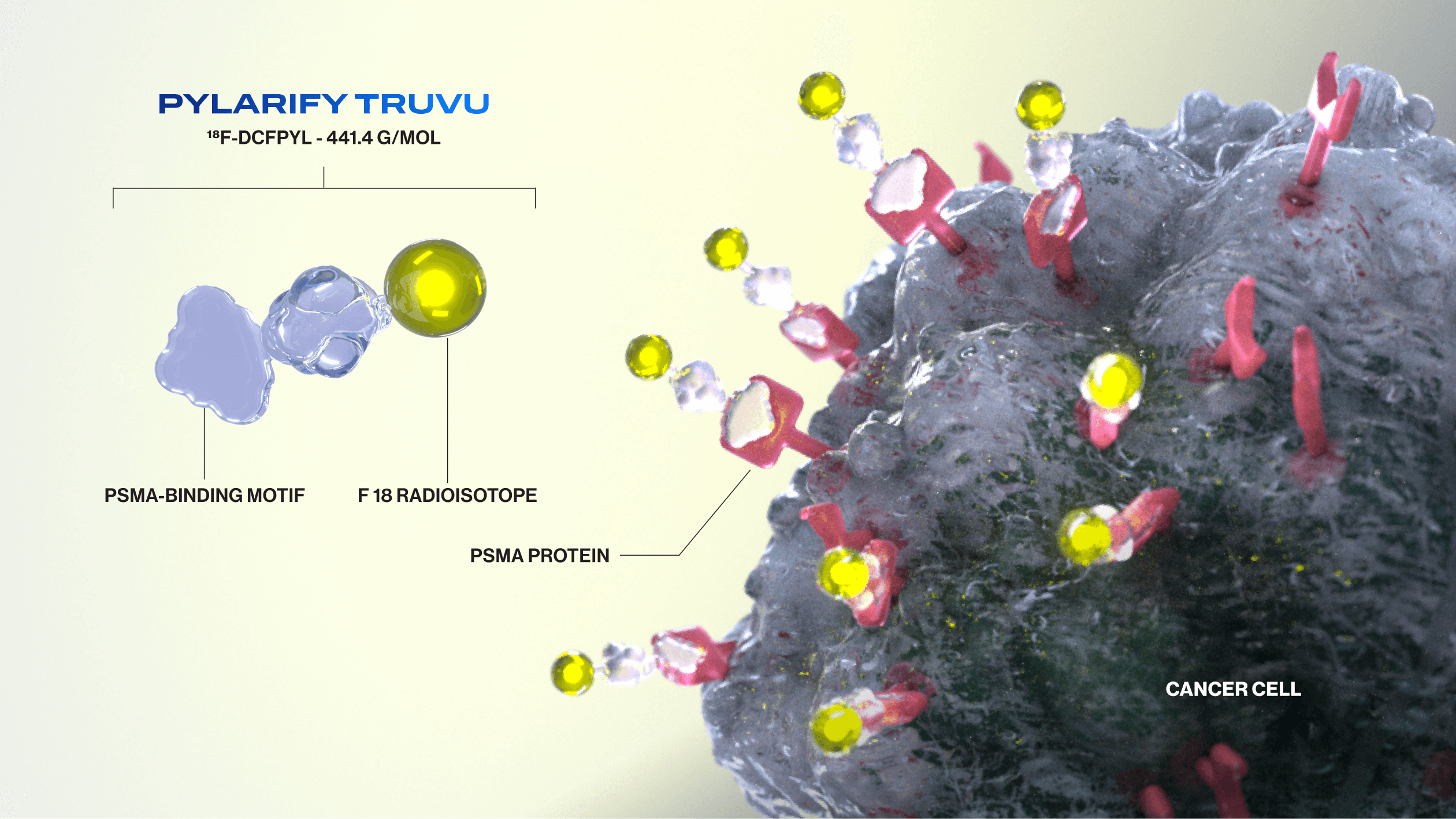Diagram illustrating PYLARIFY TruVu (piflufolastat F 18) binding to the active extracellular site of a PSMA molecule on prostate cancer cells
